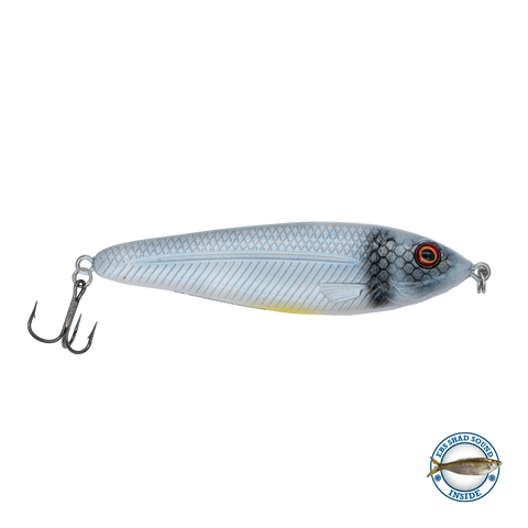 EBS Jigging Spoon